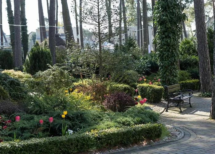 Jantar Medical Feriested Dziwnówek