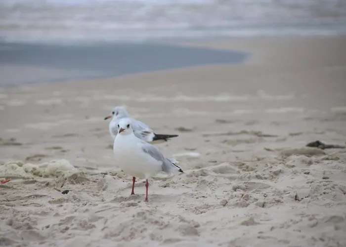 Jantar Medical Resort 3*