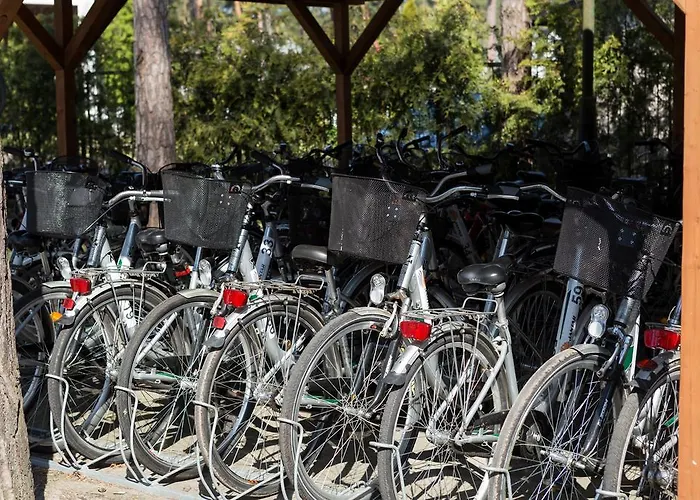 Jantar Medical Feriested